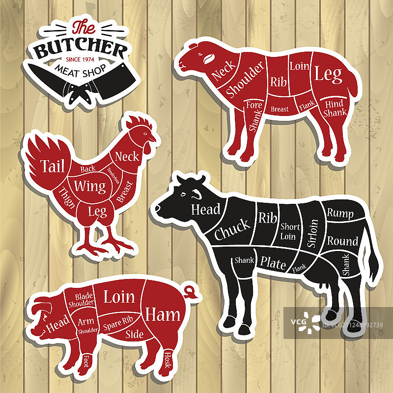 肉类分割图：肉铺动物图解图片素材