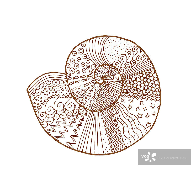 zentangle风格棕色线条贝壳装饰图片素材