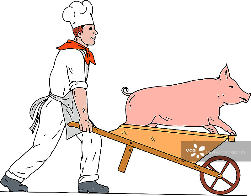 厨师推着独轮车和彩色小猪图片素材