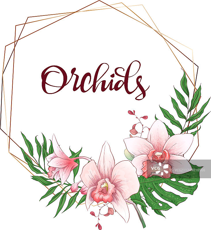 花卉设计几何框架兰花桉树图片素材