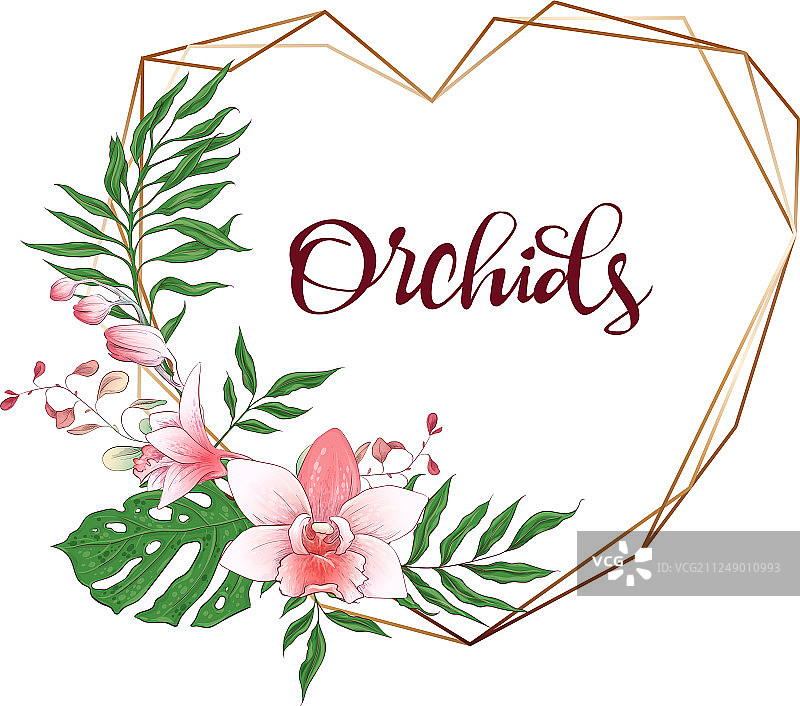 花卉设计几何框架兰花桉树图片素材