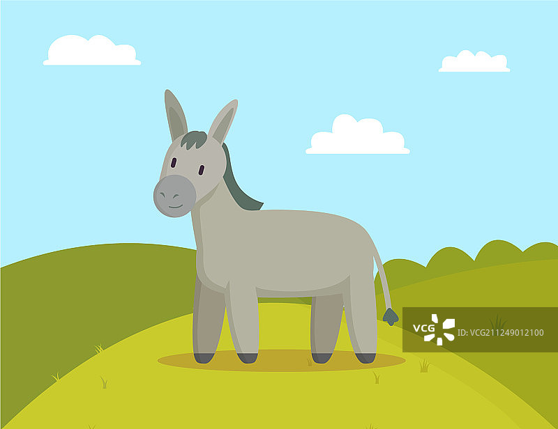 草地上吃草的农场动物驴图片素材