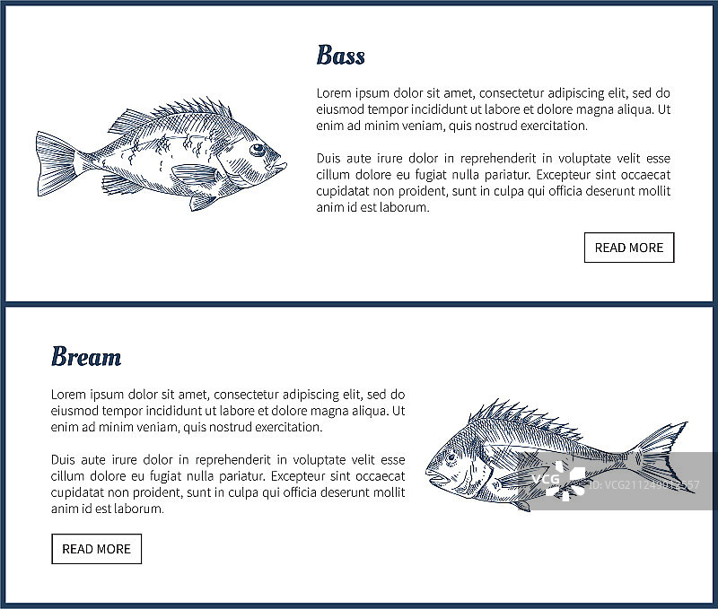 鲈鱼和鲷鱼海鲜复古图标图片素材