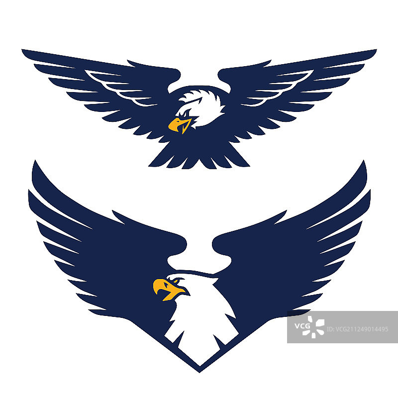 老鹰标志徽章模板图片素材
