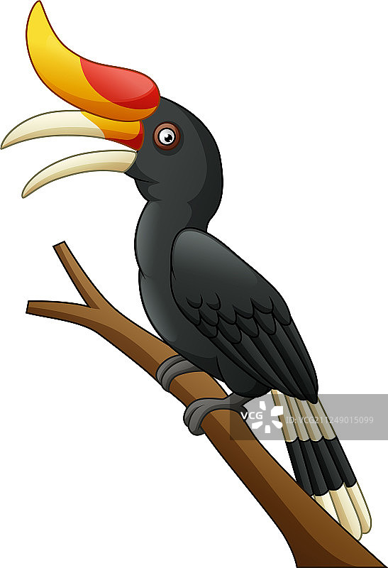 卡通犀鸟，白色背景图片素材