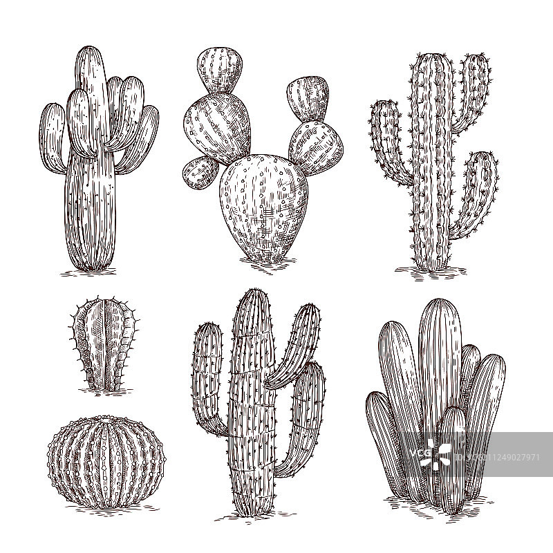 手绘仙人掌西部沙漠墨西哥风格图片素材
