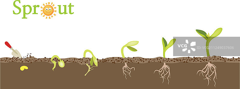 植物生长图片素材