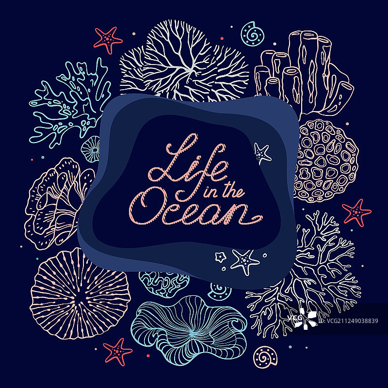 手绘海洋生物用品和文字合集图片素材