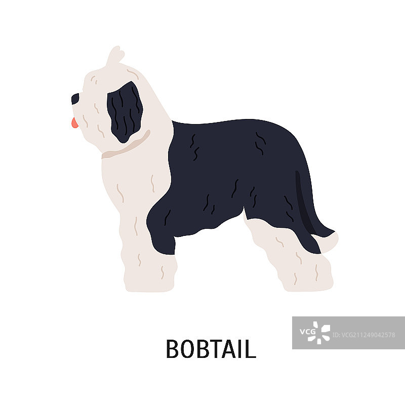 有趣的古代英国牧羊犬图片素材