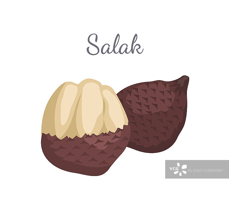 蛇皮果：热带多汁的异域水果图片素材