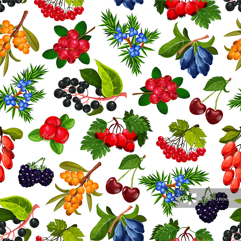 逼真夏季浆果无缝图案图片素材