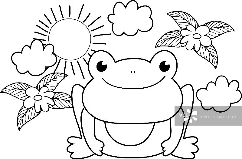 花园里的可爱蟾蜍图片素材