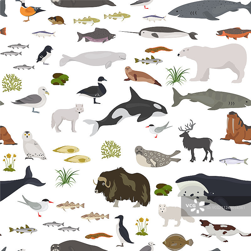 冰盖和极地荒漠生物群系陆地图片素材