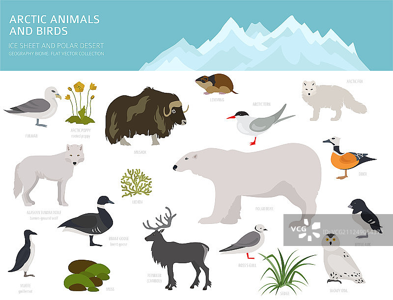 冰盖和极地荒漠生物群系陆地图片素材