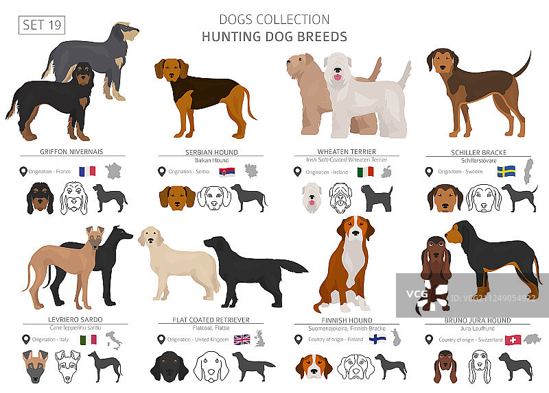 白色扁平风格的猎犬收藏图片素材