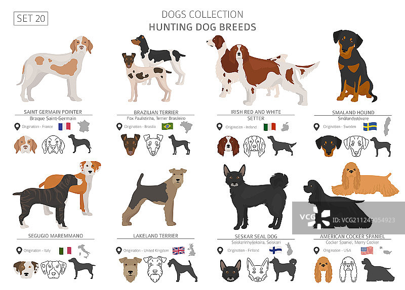 白色扁平风格的猎犬收藏图片素材