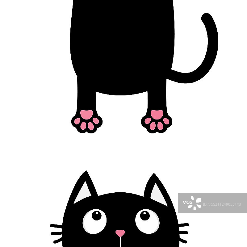 抬头滑稽脸黑猫剪影图片素材