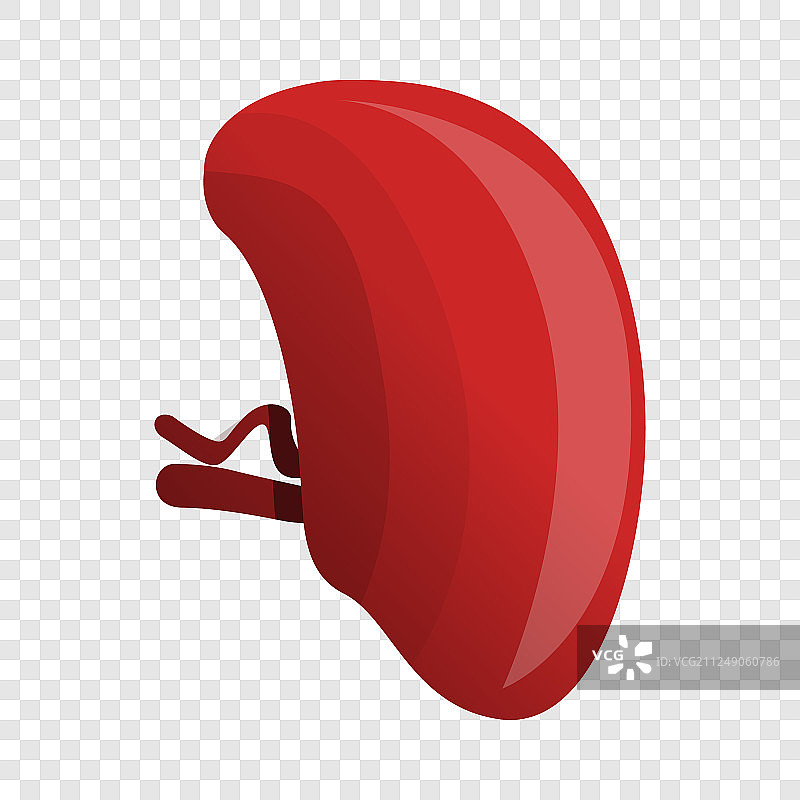 健康的脾脏图标卡通风格图片素材