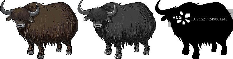 牦牛角色集合图片素材