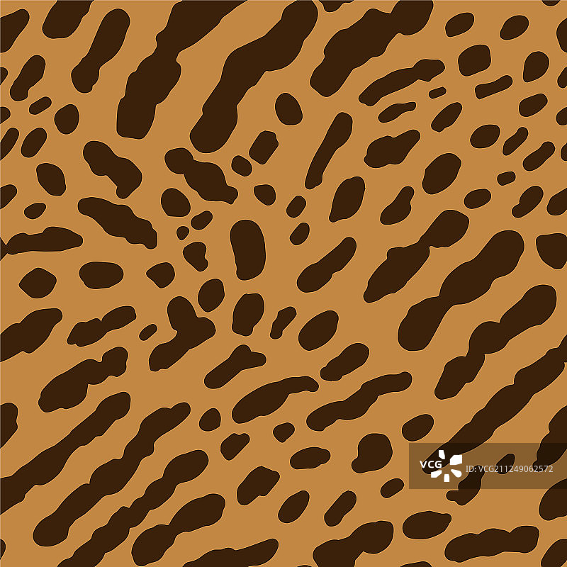 猎豹或小豹猫图片素材