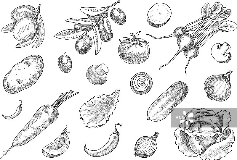 手绘各种蔬菜组合草图图片素材