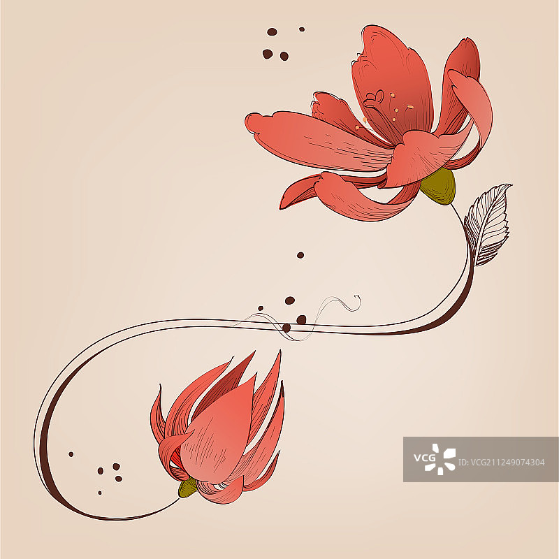 珊瑚红色花卉漩涡花卉装饰设计图片素材