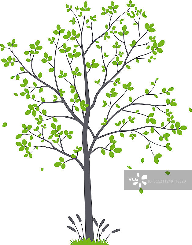 树枝与鸟类剪影图片素材