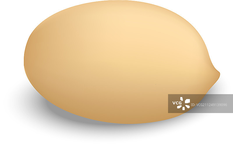 逼真的干净花生图标图片素材