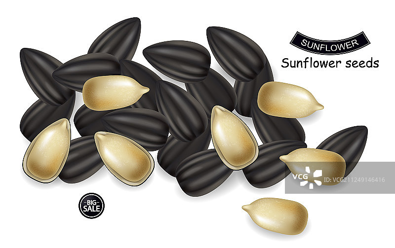 逼真向日葵籽深色背景3D图片素材