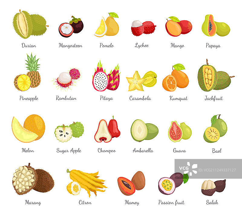 番荔枝和番石榴套装图片素材