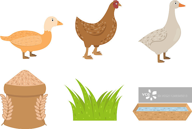 扁平风格的鸭鹅鸡图标食品图片素材