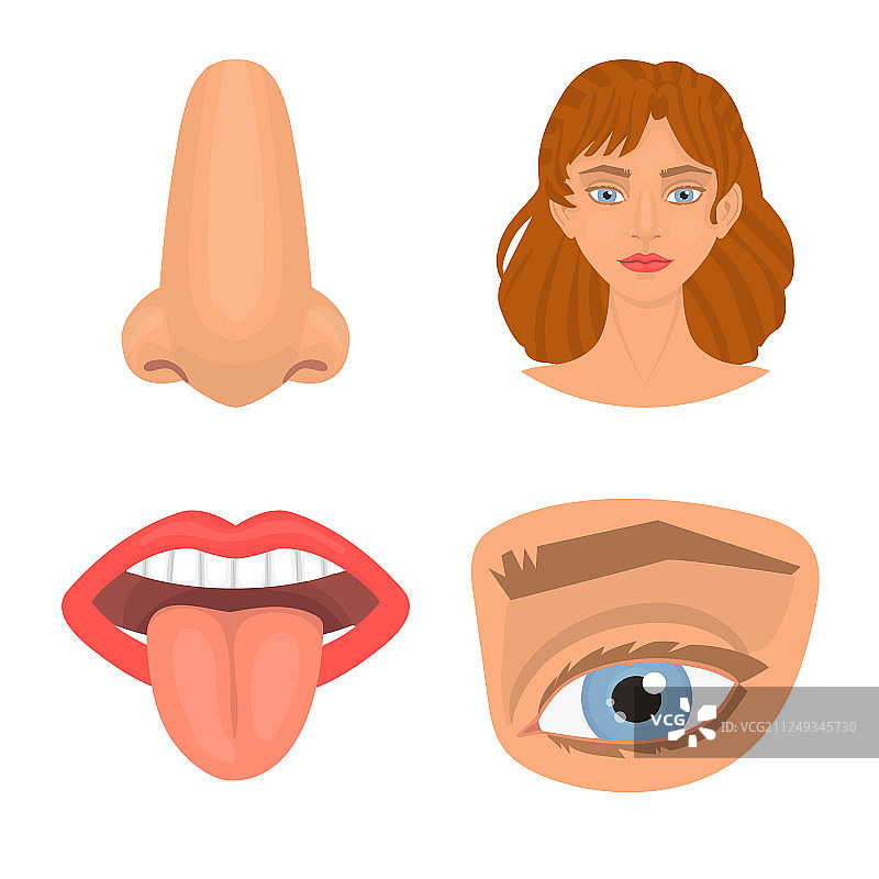 孤立的身体部位符号图片素材