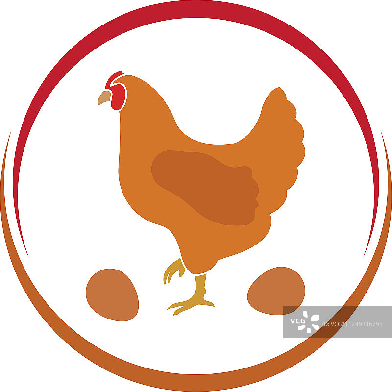 鸡图片素材