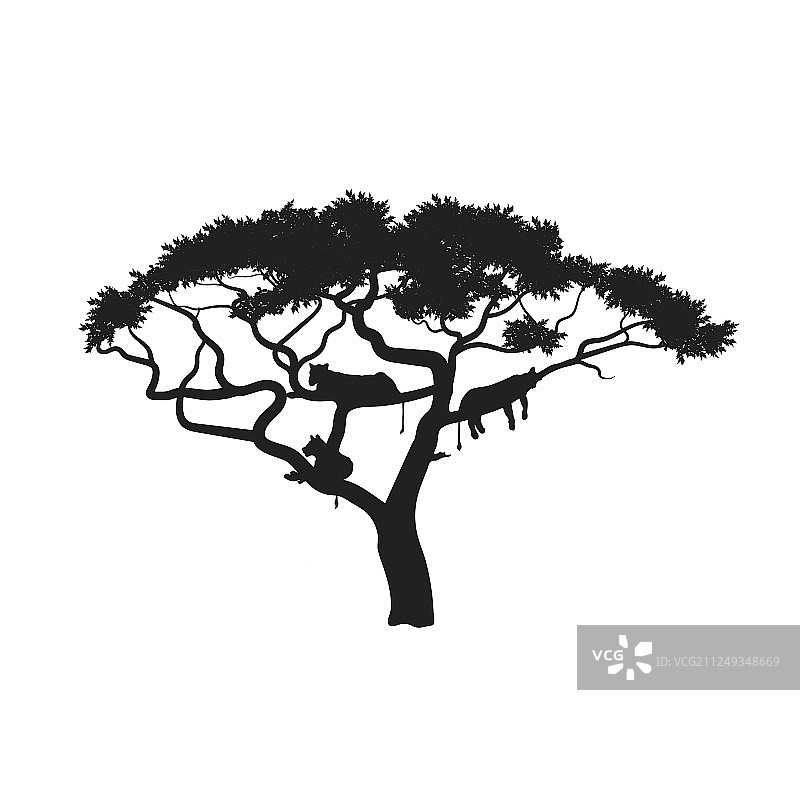 带狮子的黑色轮廓非洲树图片素材