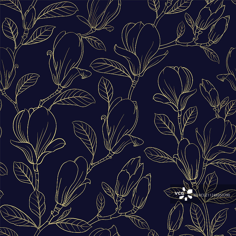 盛开玉兰花图片素材