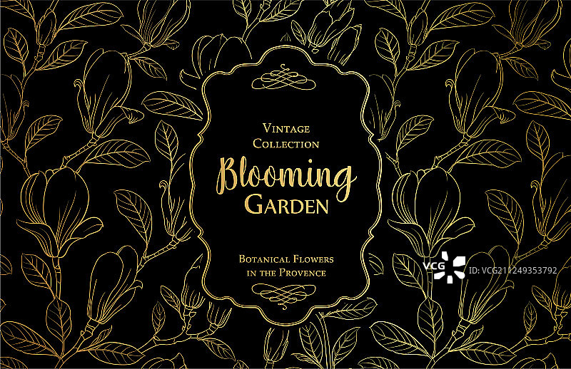 复古藏品图片素材