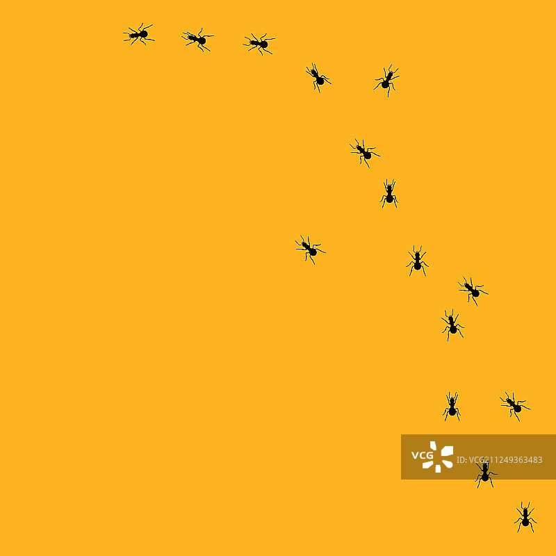 蚂蚁行进路线图片素材