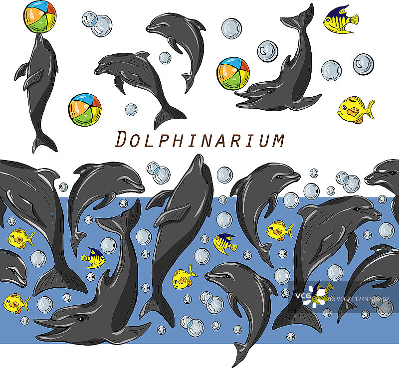 彩色海豚和鱼类合集图片素材