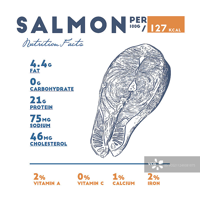 手绘鲑鱼营养成分速写图片素材