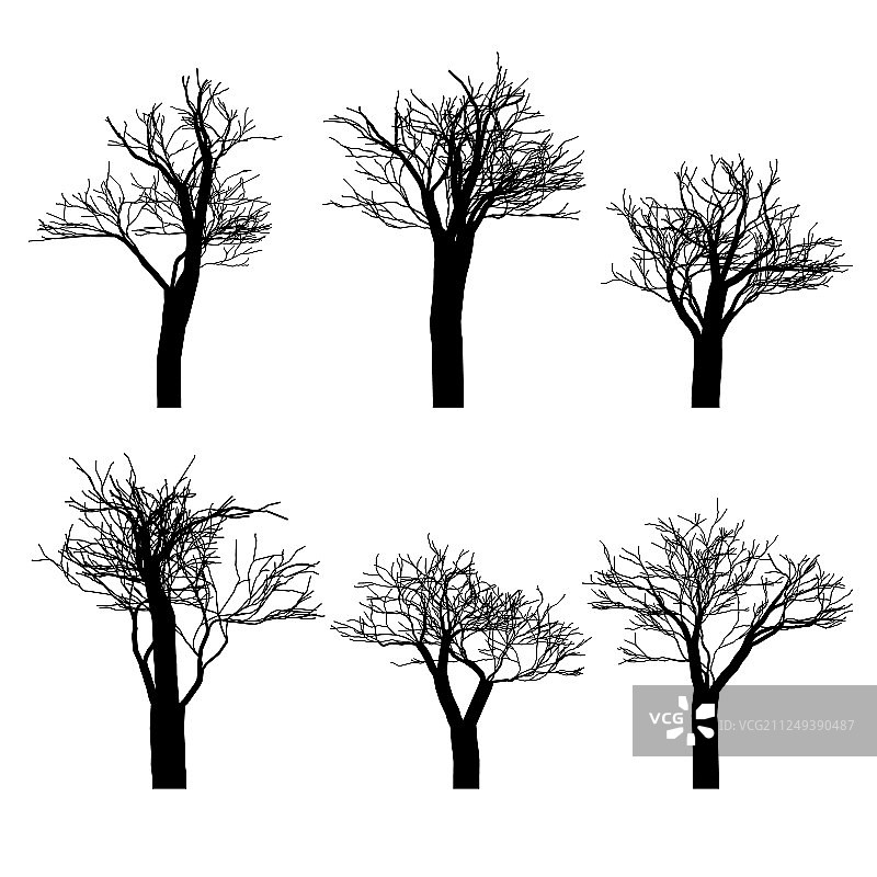 黑色裸树剪影合集图片素材