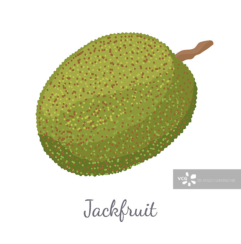 异国风情多汁的石材菠萝蜜，已隔离图片素材