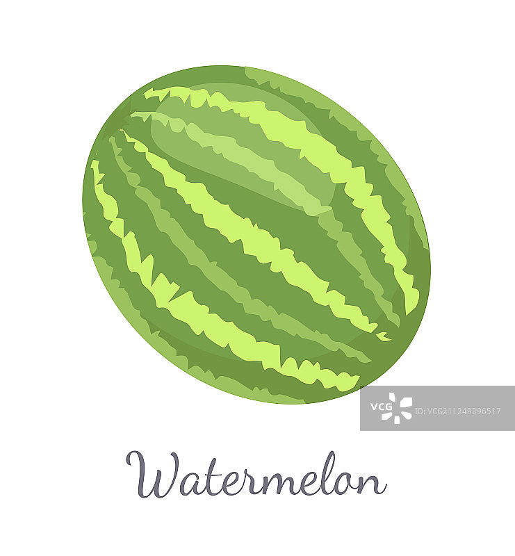 西瓜香橼瓜浆果成熟热带水果图片素材