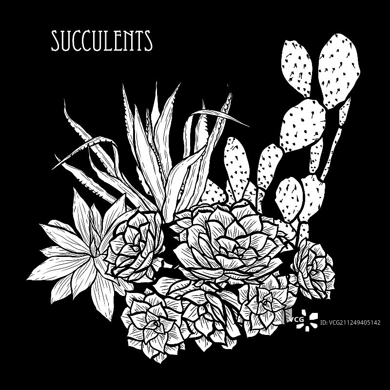 手绘花卉装饰图片素材