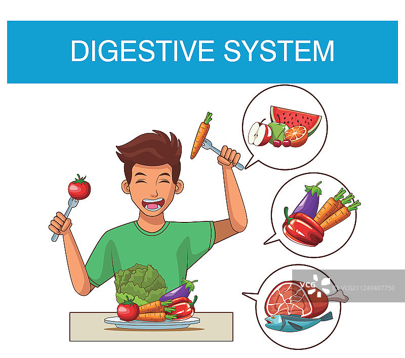 消化系统概念图片素材