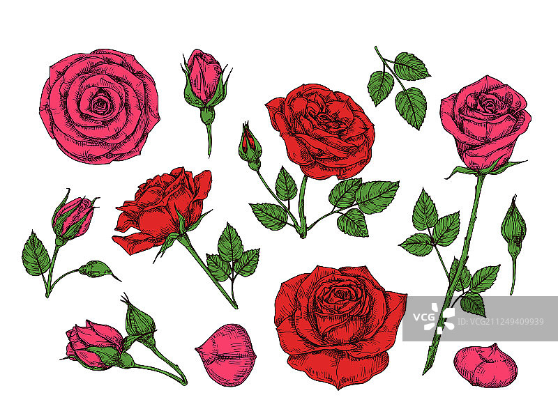 手绘红色玫瑰花园花卉图片素材