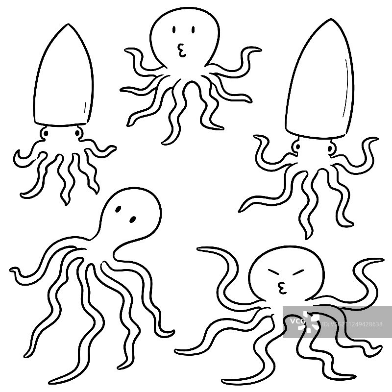 鱿鱼素材图片素材