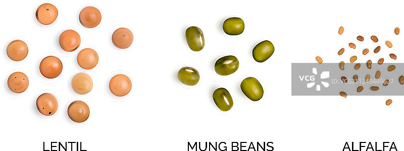 豆类集合的逼真3D模型图片素材