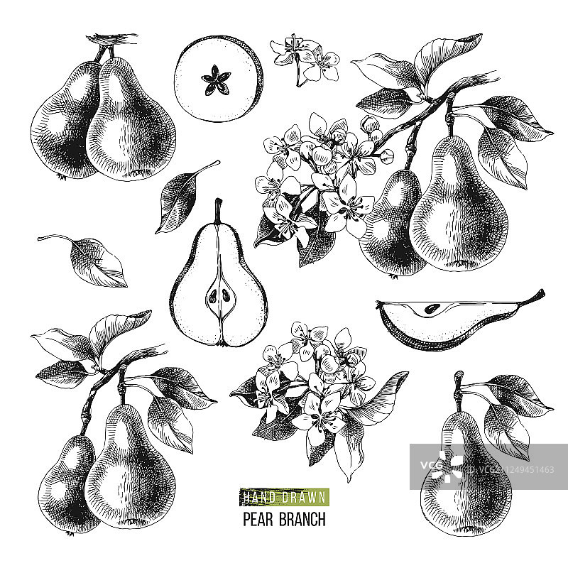 手绘梨元素合集图片素材