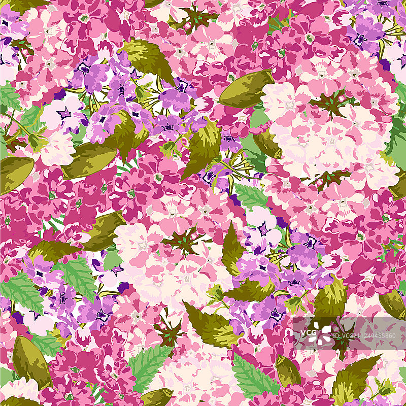 花卉无缝模式图片素材