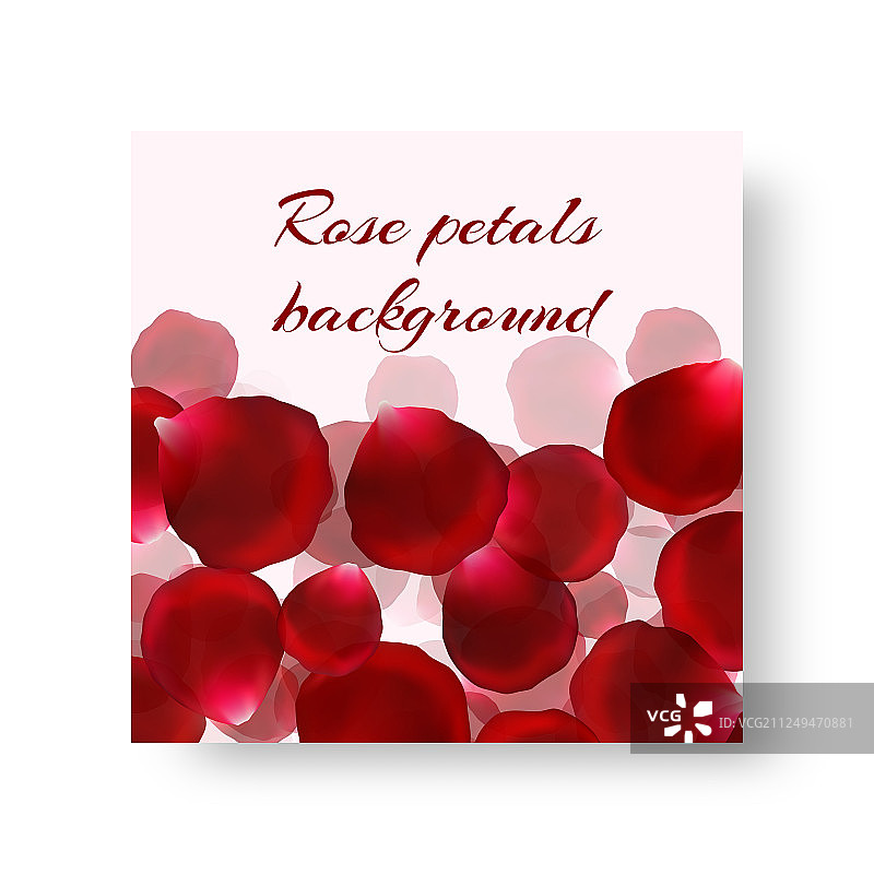 玫瑰花瓣节日背景模板图片素材